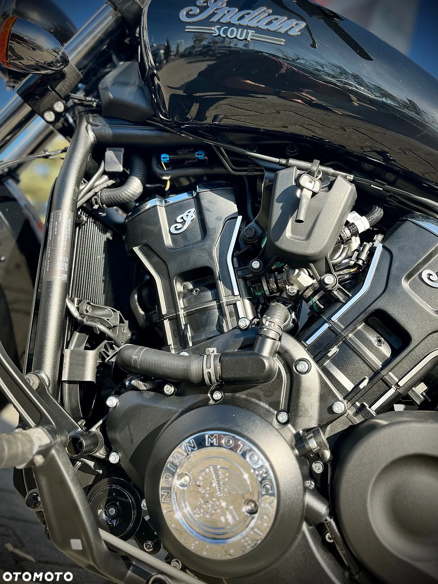 Indian Scout - 10