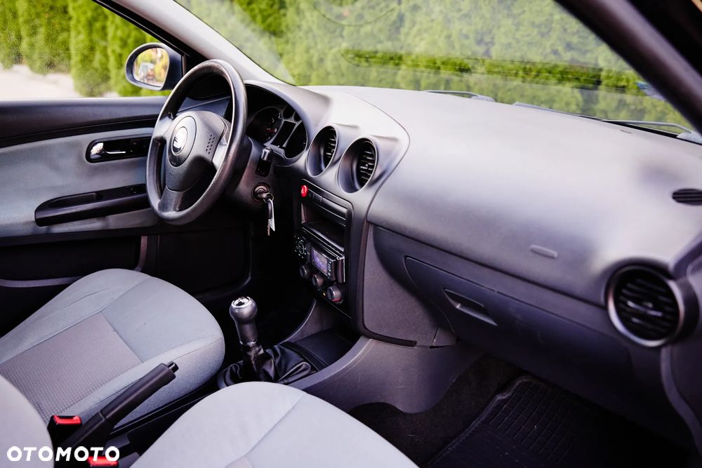 Seat Ibiza - 21