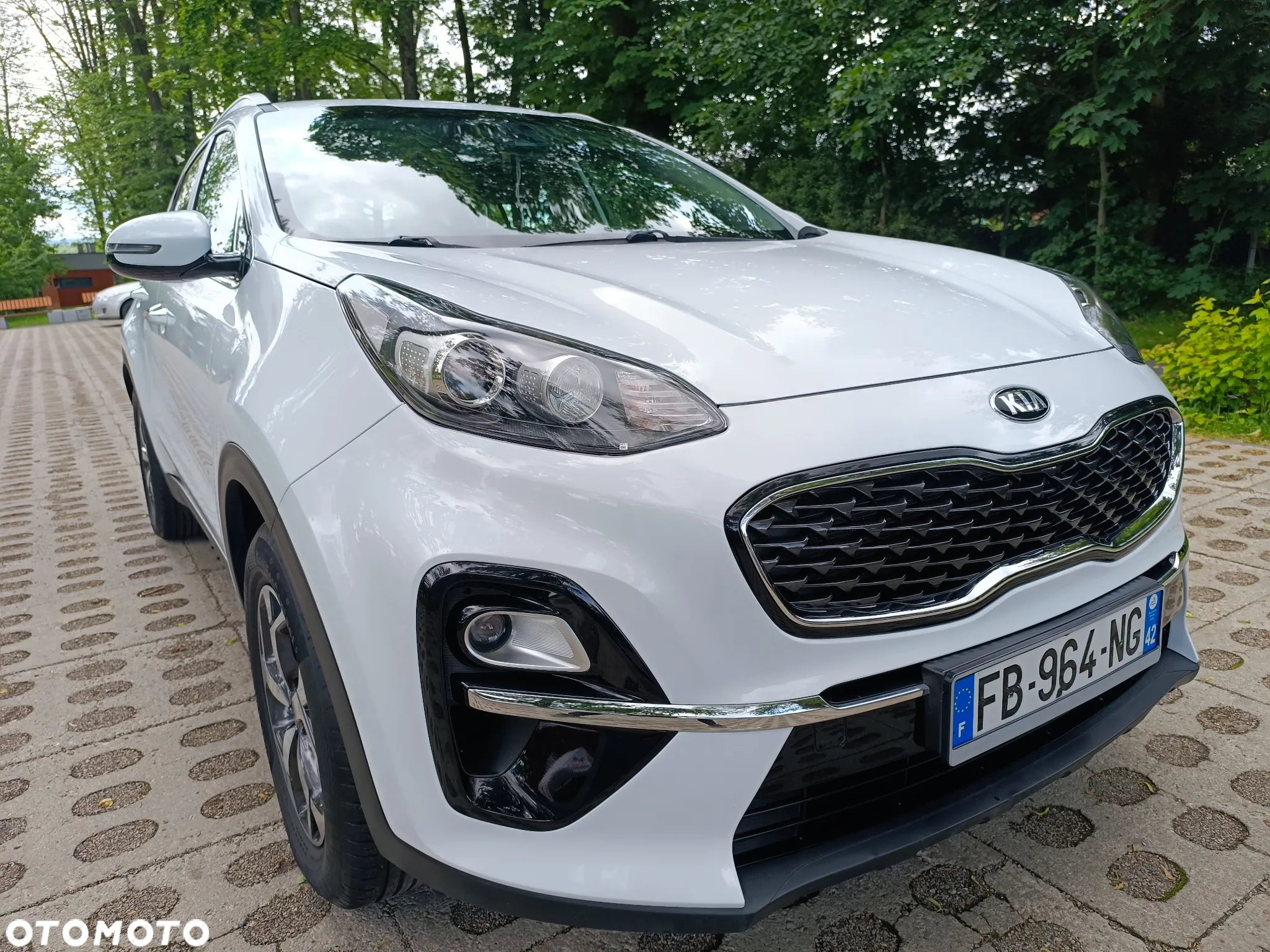 Kia Sportage 1.6 CRDI Black Edition Plus 2WD - 15