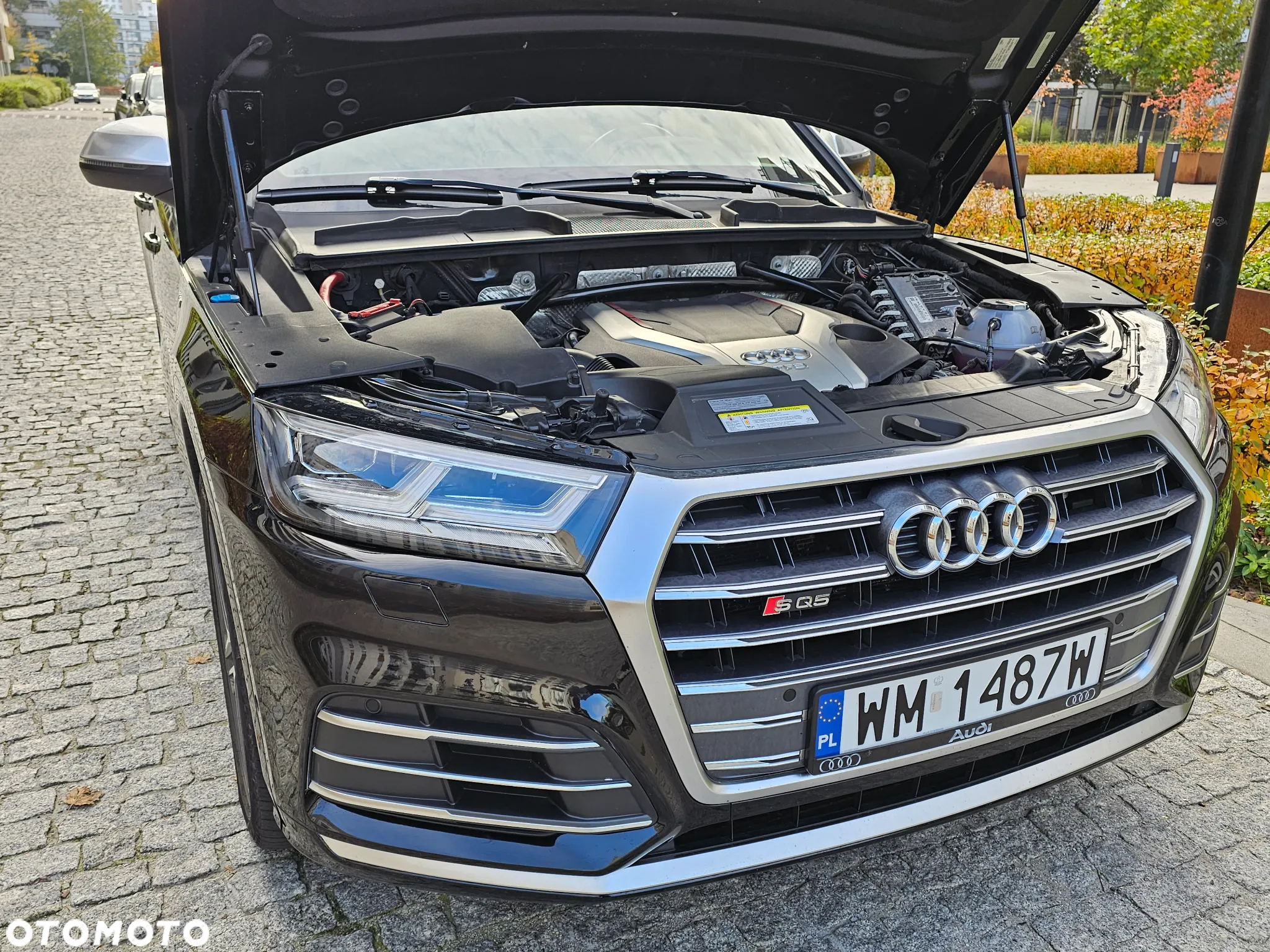 Audi SQ5 3.0 TFSI Quattro Tiptronic