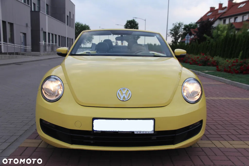 Volkswagen Beetle - 9