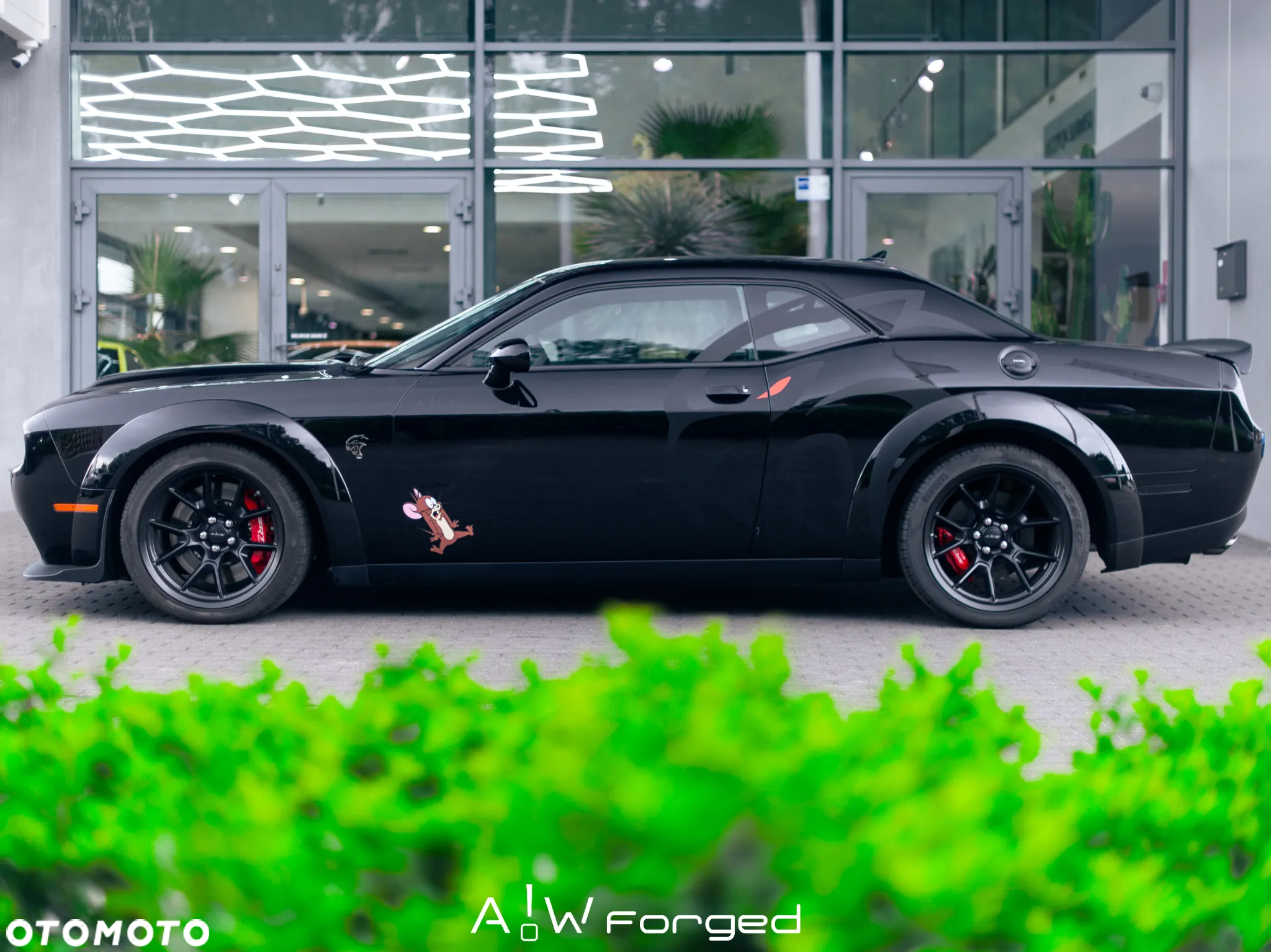 Dodge Challenger 6.2 Redeye Widebody - 10