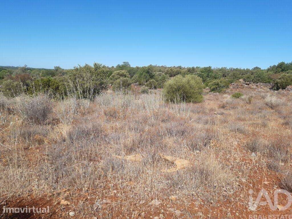Terreno Agrícola em Alte - Grande imagem: 3/5