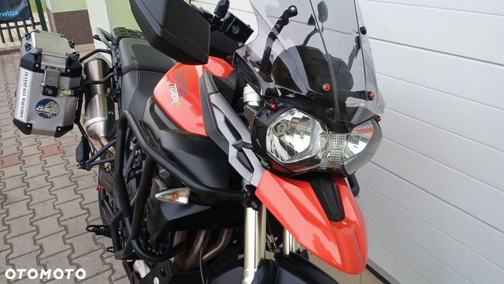 Triumph Tiger - 19