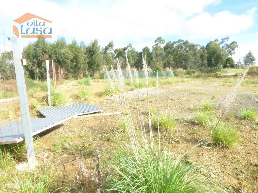 Terreno Nogueira da Regedoura, plano Industrial para Construção de ... - Grande imagem: 5/16