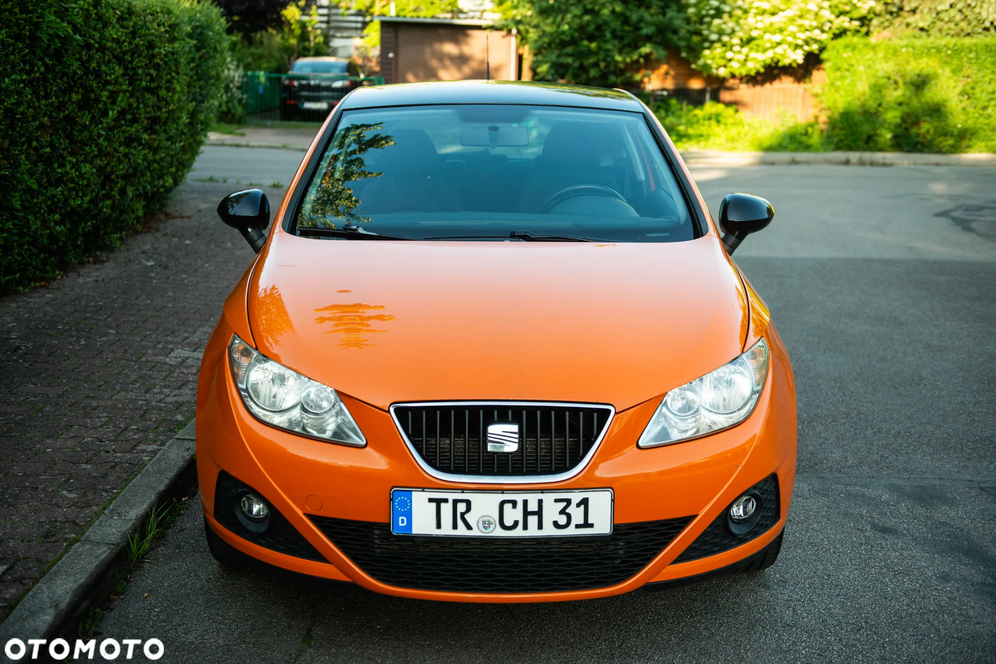 Seat Ibiza 1.4 16V Cool - 2