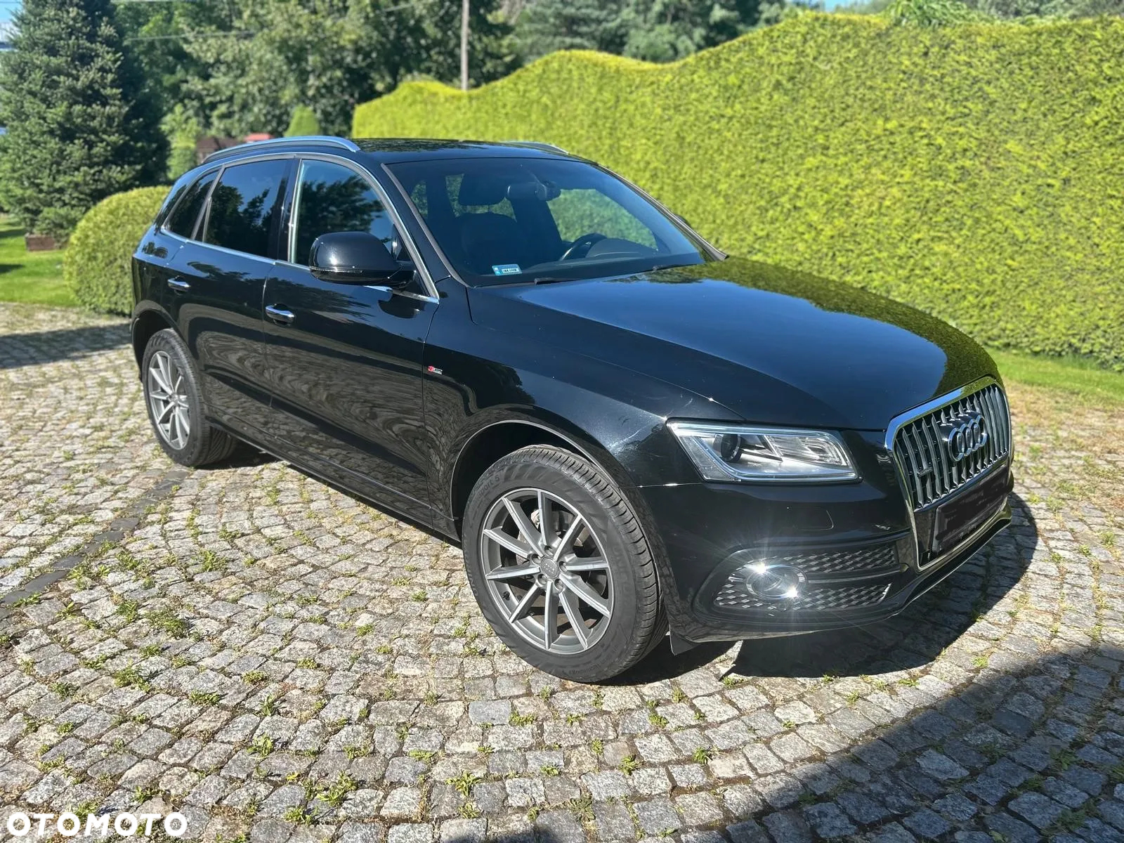 Audi Q5 2.0 TDI clean diesel Quattro S tronic - 3