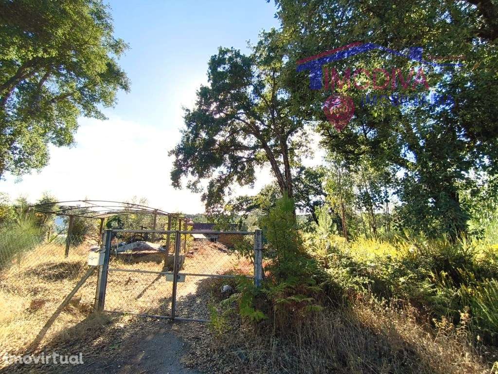 Casa de Campo com terreno e poço de água freguesia da Graça - Grande imagem: 5/24
