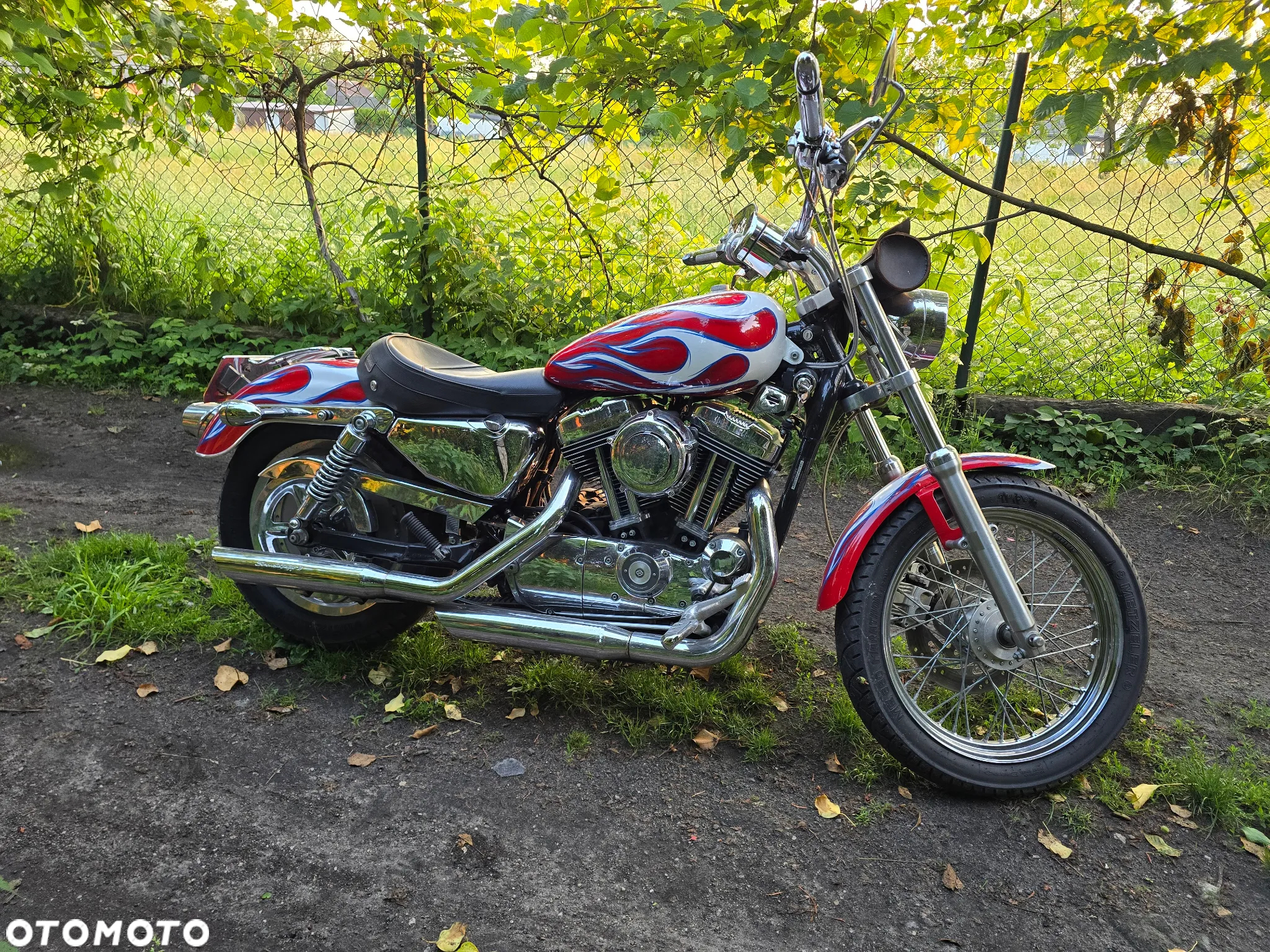 Harley-Davidson Sportster Custom 1200C - 4