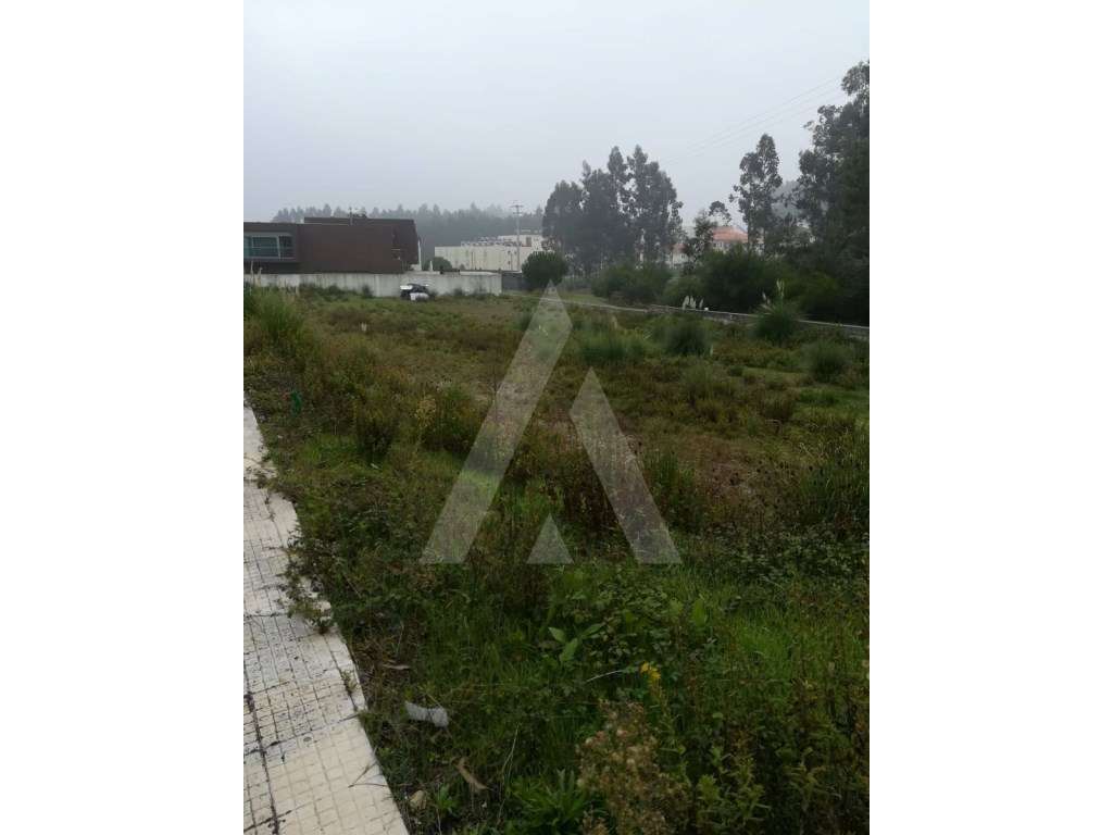 Terreno composto por 7 lotes em Santa Joana - Grande imagem: 3/4