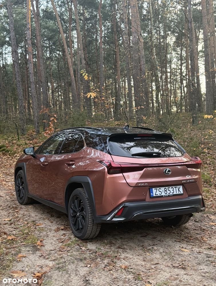 Lexus UX 300h F Sport Design AWD - 2