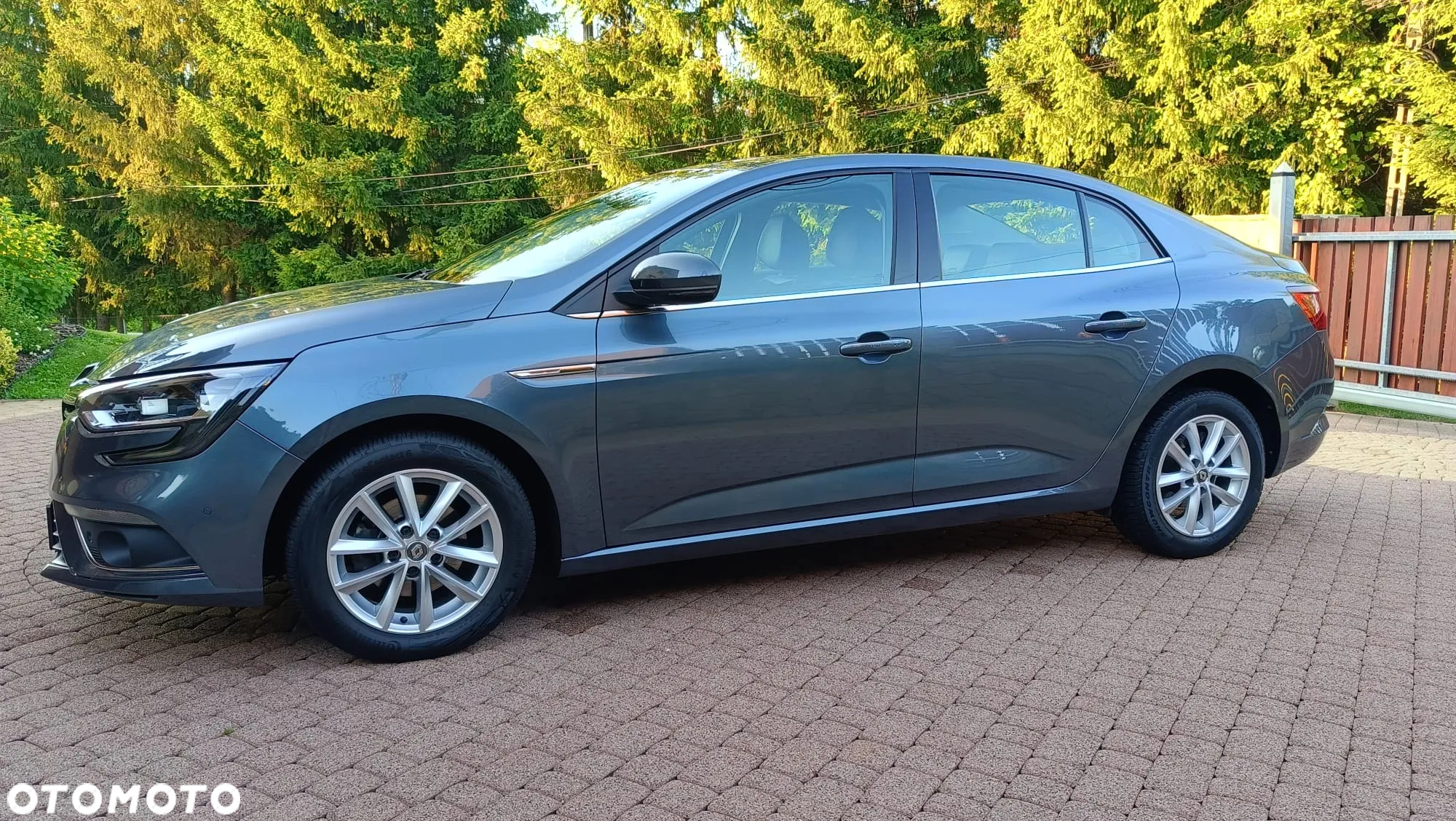 Renault Megane - 19