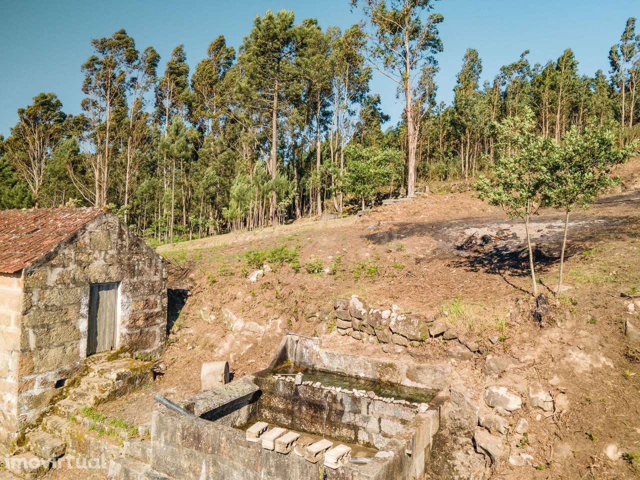 Oportunidade de Investimento – Quinta com Potencial Habitacional e Tur - Grande imagem: 5/29