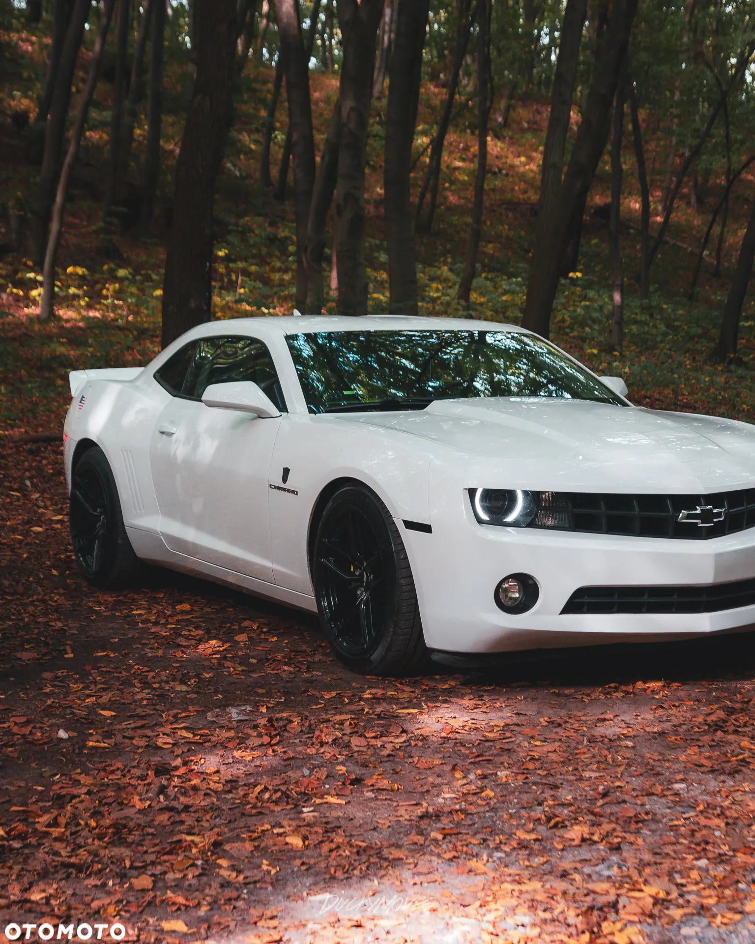 Chevrolet Camaro 3.6 V6 Coupe 2LT - 10