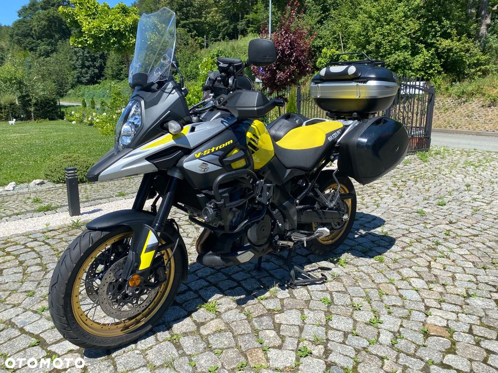 Suzuki DL