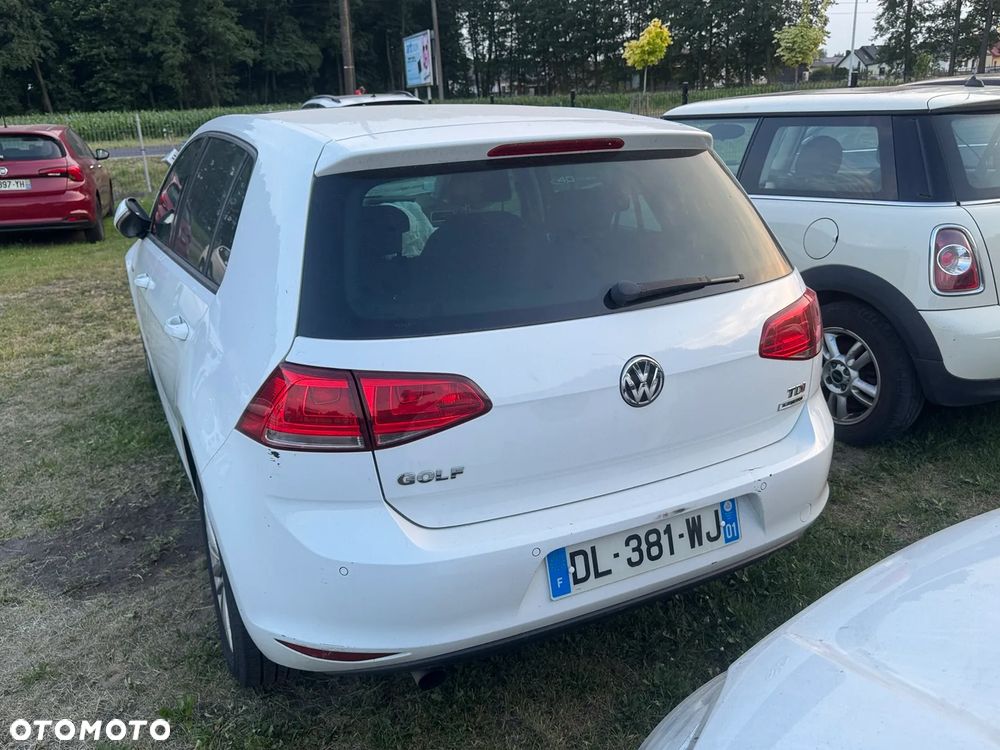 Volkswagen Golf 1.6 TDI BlueMotion Technology DSG Cup - 7