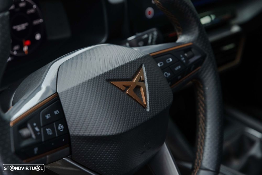 Cupra Formentor 2.0 TDI - 18