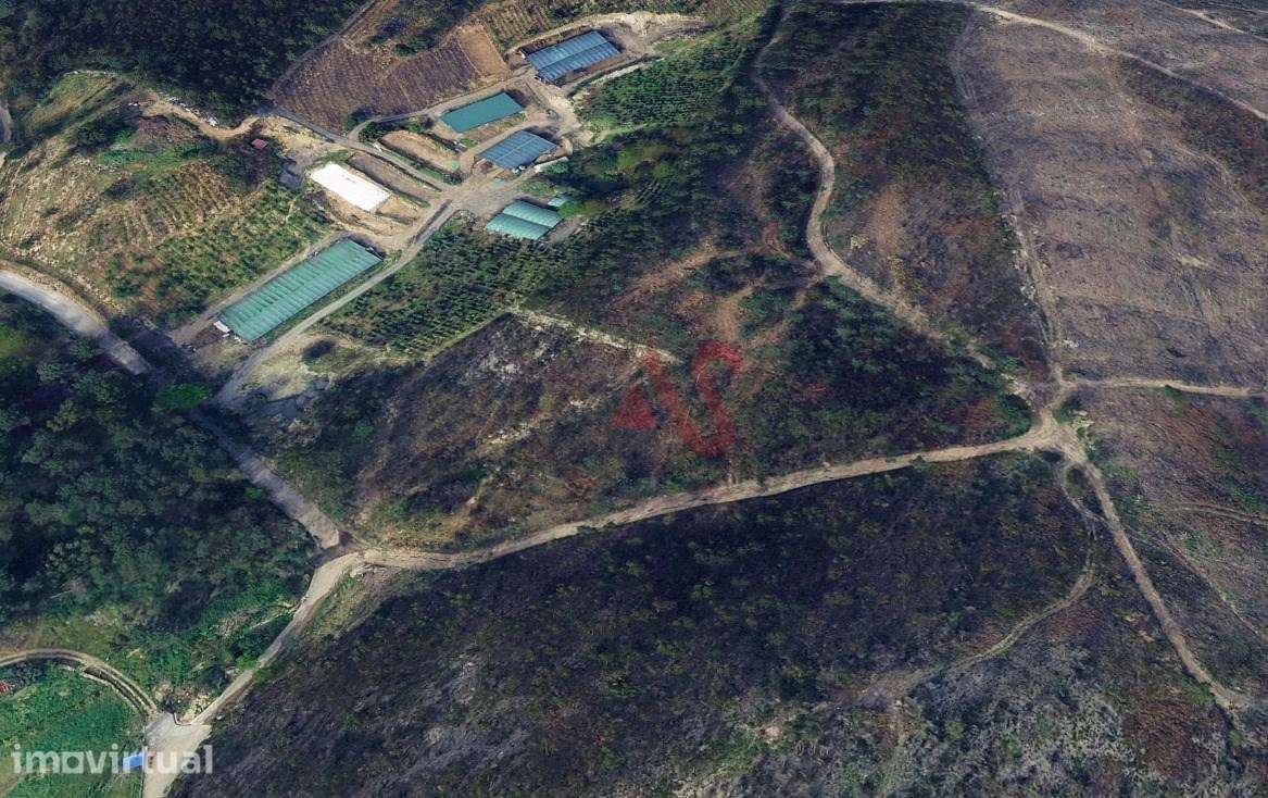 Terreno Florestal com 3300m2 em Silvares, Lousada - Grande imagem: 2/2