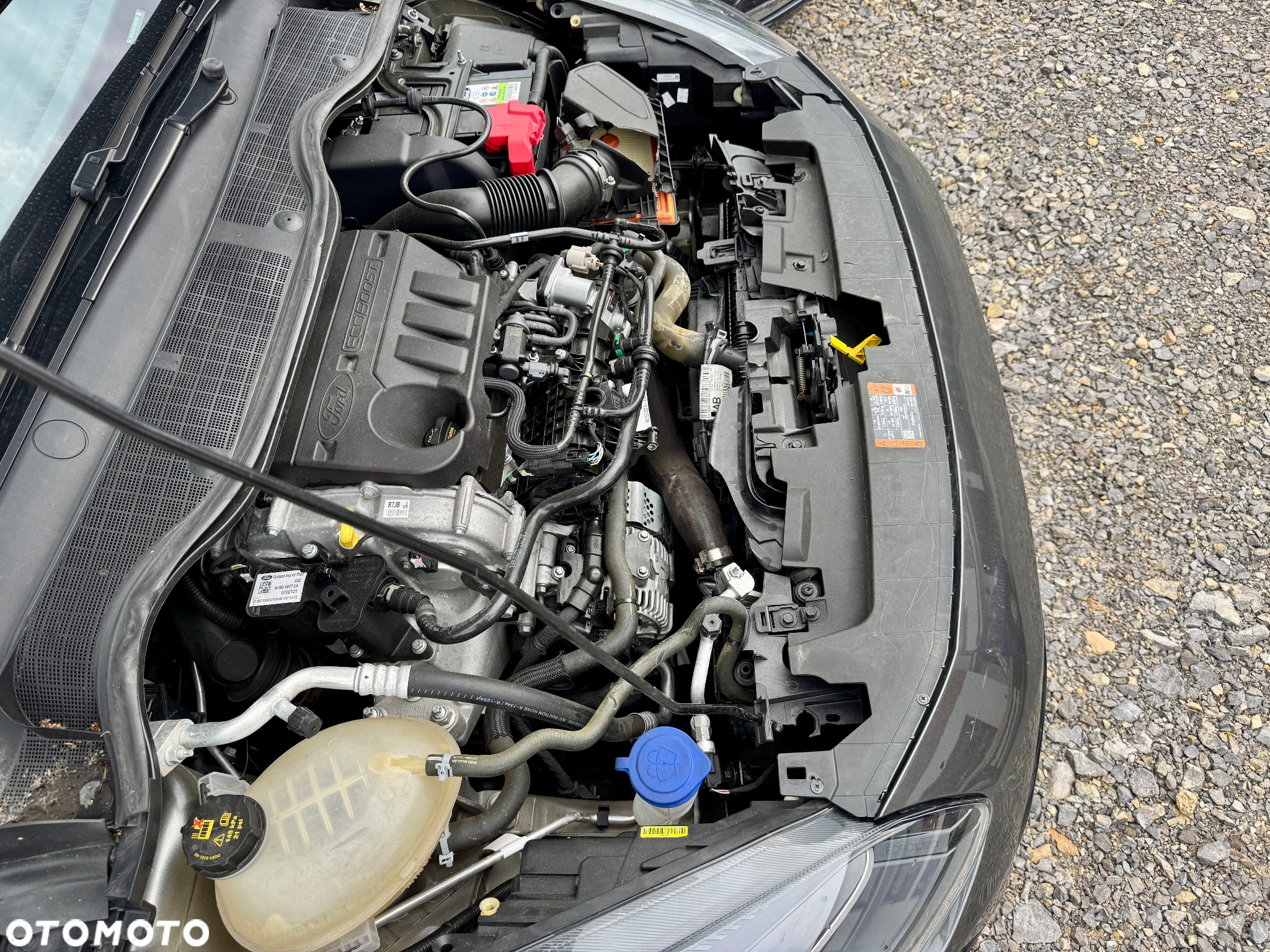 Ford Fiesta - 33
