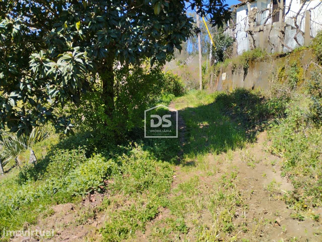 Moradia T1 Venda em Telões,Amarante - Grande imagem: 3/9