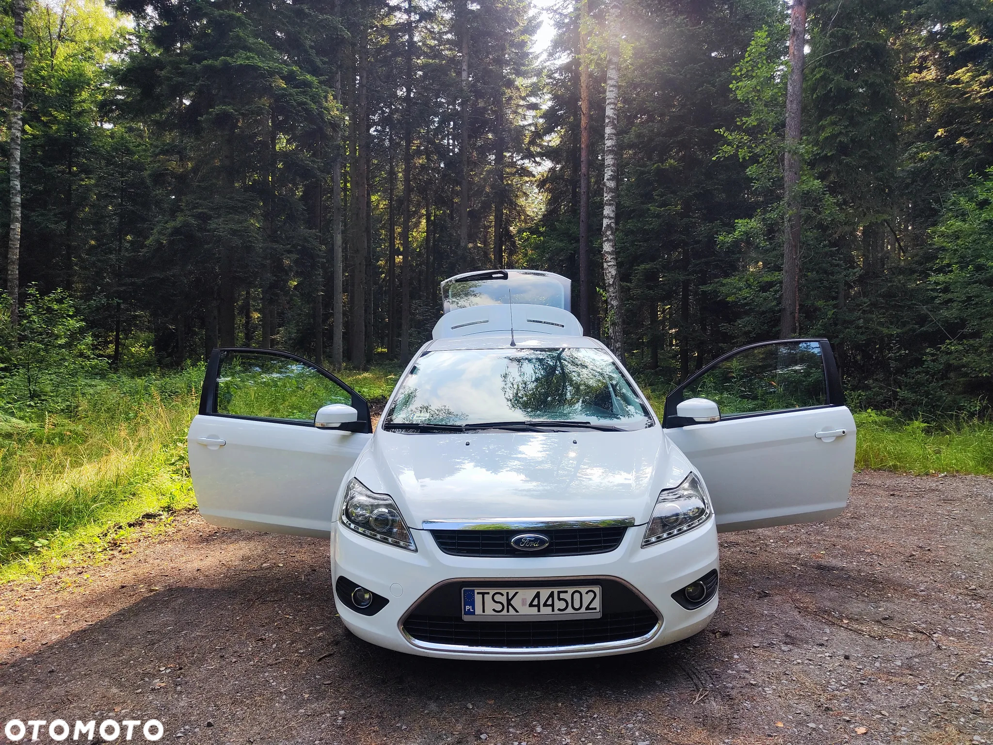 Ford Focus - 17