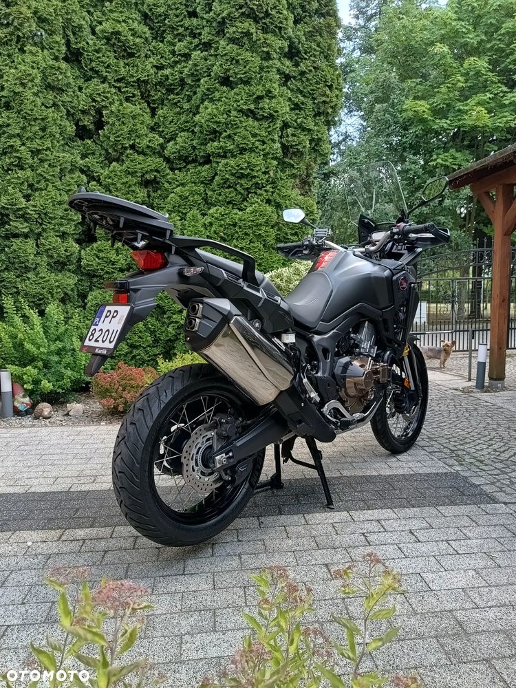 Honda CRF - 7