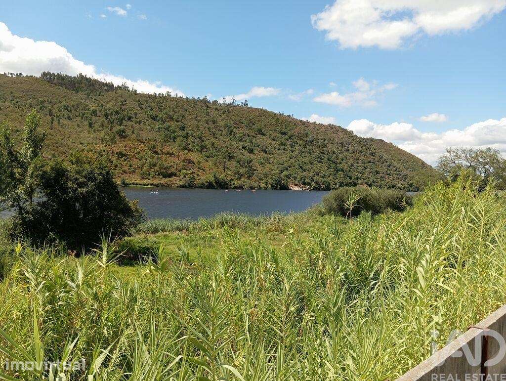 Terreno Agrícola em Belver - Grande imagem: 3/18
