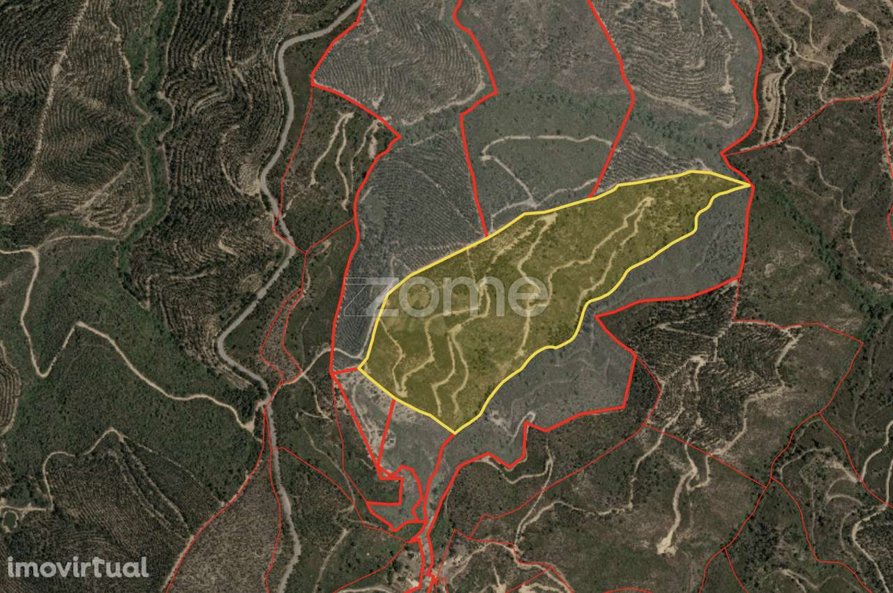 Terreno rústico em Alferce, Monchique - Grande imagem: 3/15