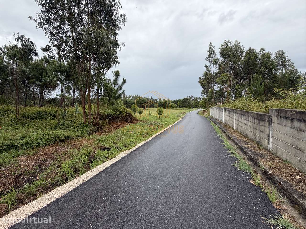 Terreno c/ 10.000m2 - Moinhos da Gândara - Grande imagem: 2/17