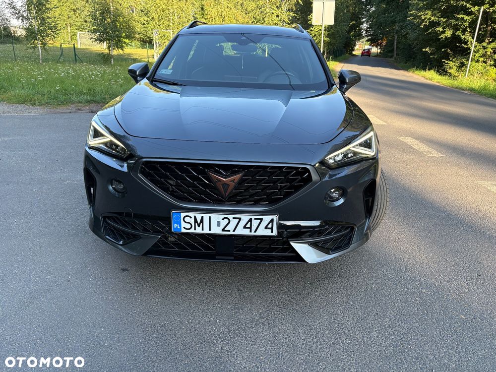 Cupra Formentor 2.0 TSI 4Drive DSG - 14