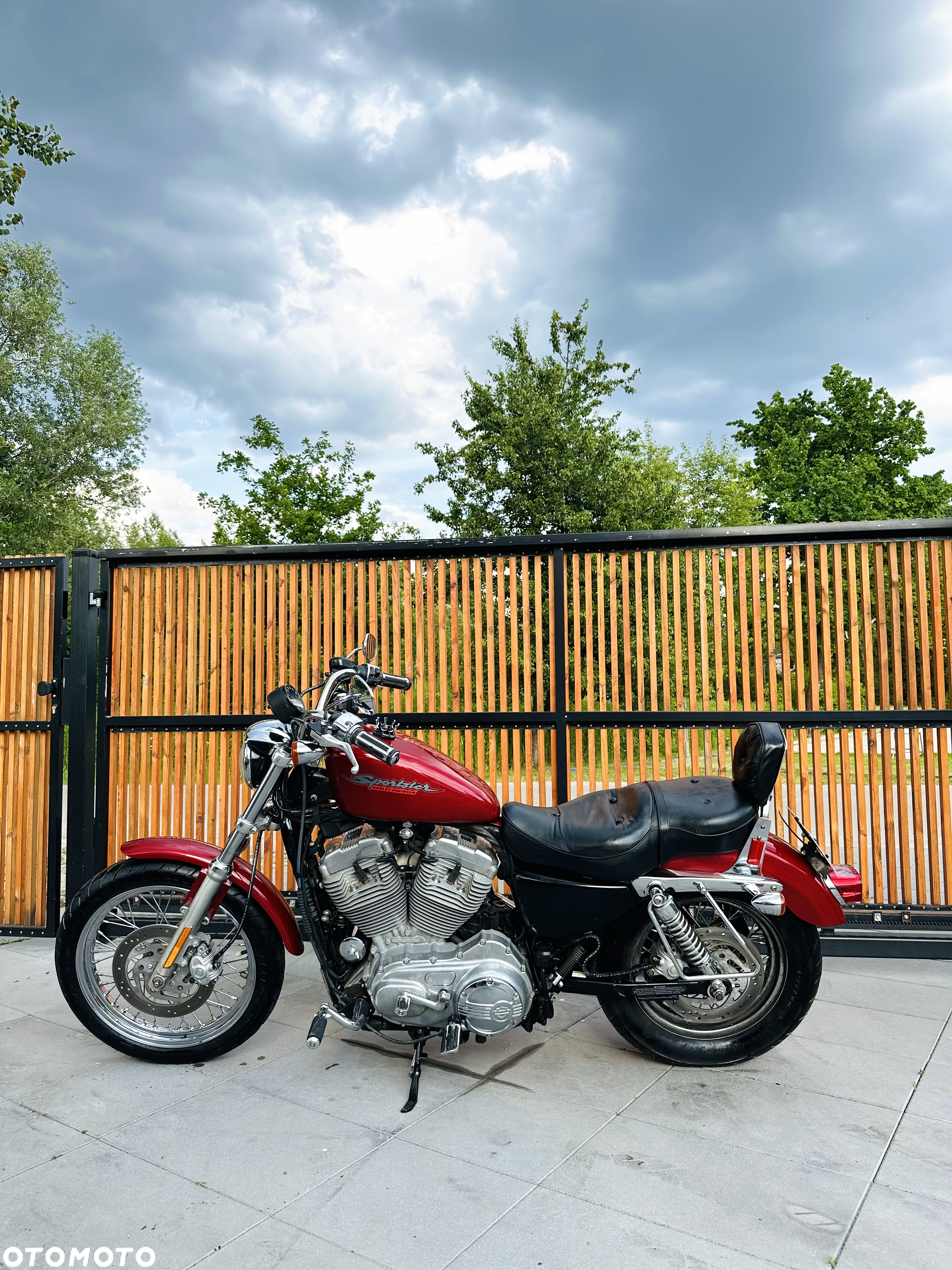 Harley-Davidson Sportster Custom 883C - 6