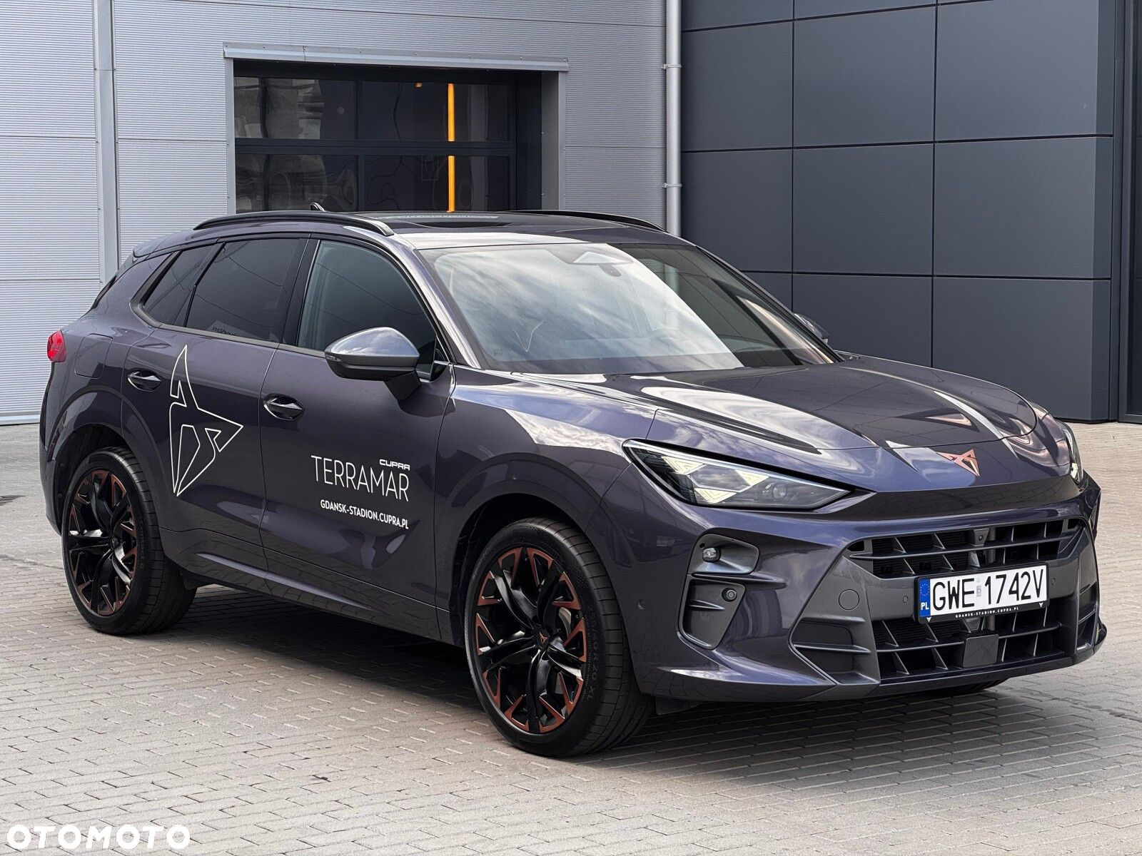 Cupra Terramar - 5