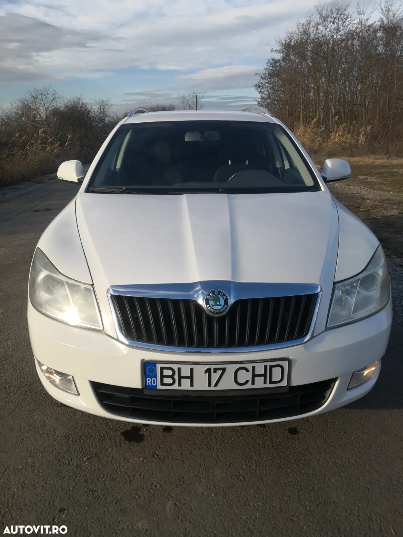 Skoda Octavia 1.6 TDI DPF GreenLine - 4