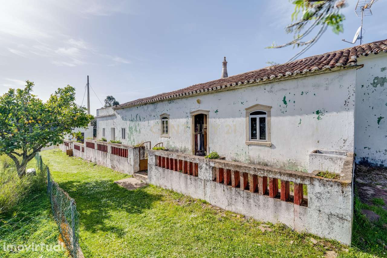 Quinta com 9,4 hectares em Lagar – São Bartolomeu de Messines | Nature - Grande imagem: 2/36