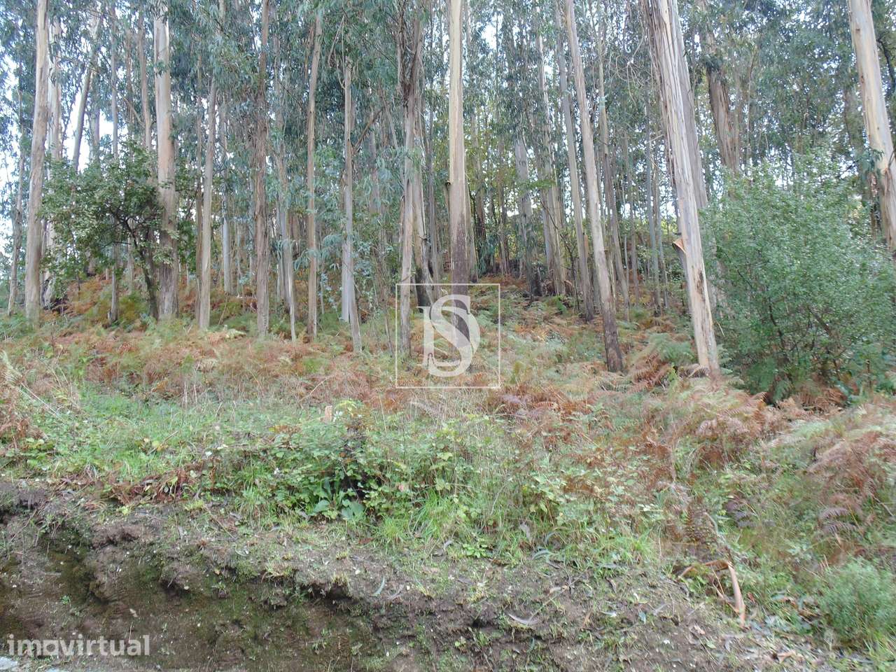 Terreno para Construção - Grande imagem: 2/7