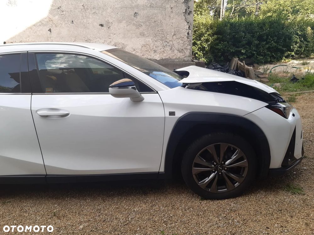 Lexus UX 250h F SPORT - 2