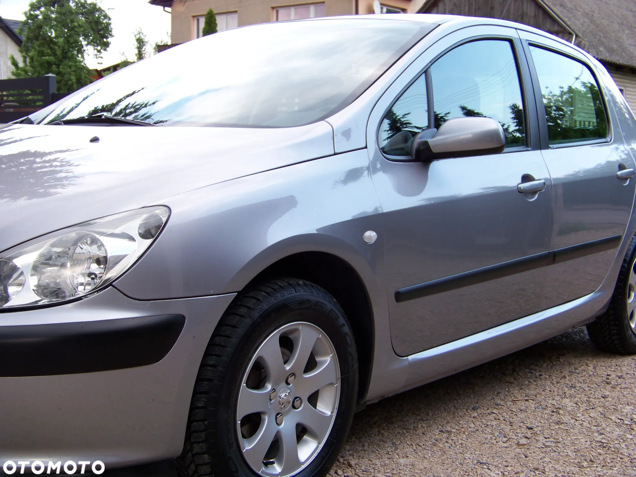Peugeot 307 1.4 Mistral - 3