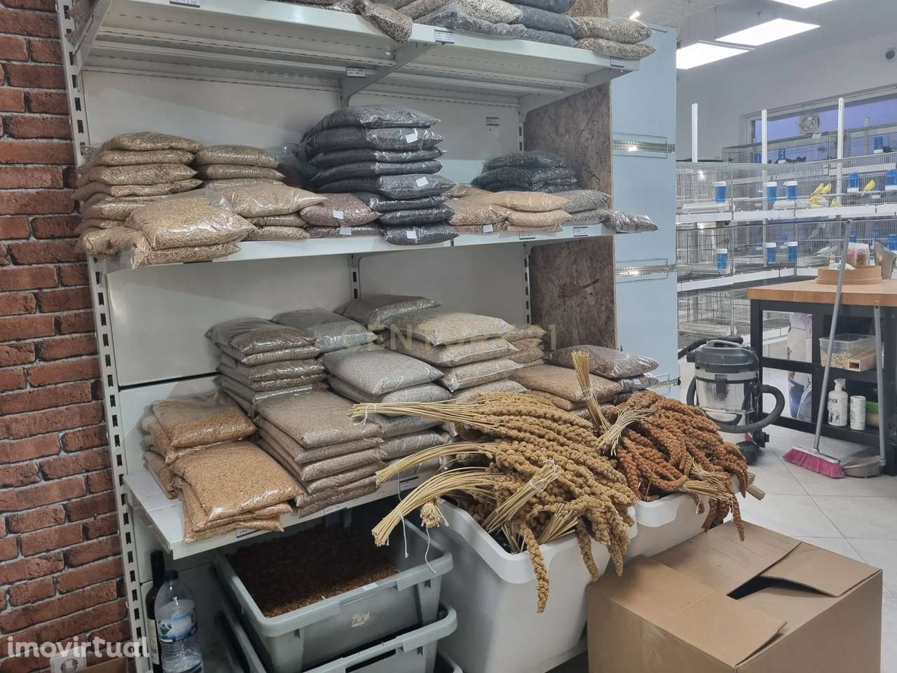 Trespasse de Loja de Animais - Grande imagem: 4/19