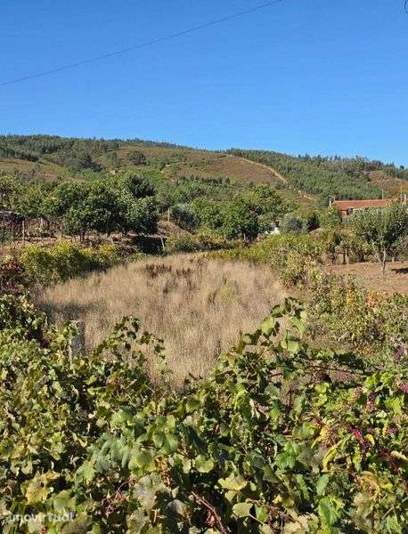 Vende-se terreno rústico com 500m2, na freguesia de Estreito - Grande imagem: 2/8