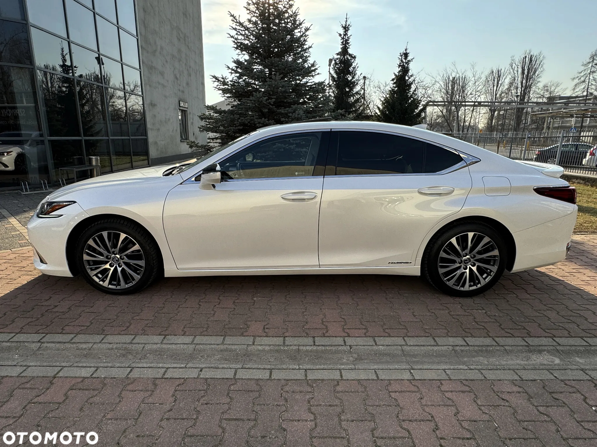 Lexus ES 300h Elegance - 31