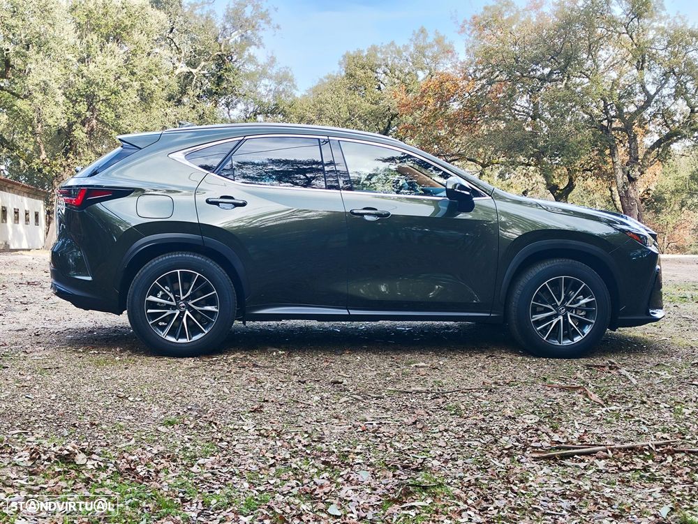 Lexus NX 450h+ - 4
