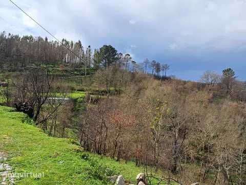 Terreno com mina de água - Grande imagem: 3/11