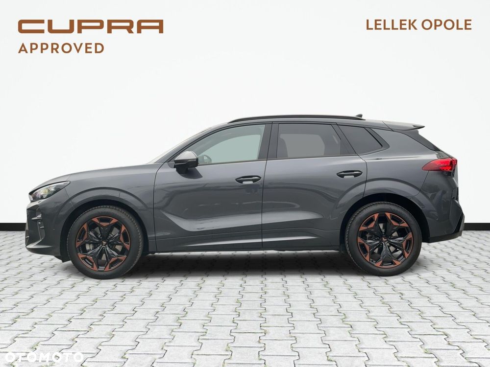 Cupra Terramar - 9