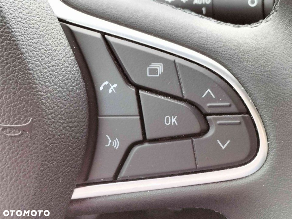 Renault Megane - 9