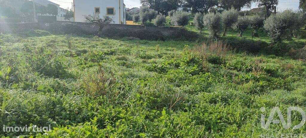 Terreno em Tolosa de 1758,00 m2 - Grande imagem: 3/3
