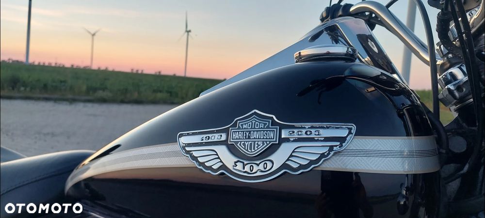 Harley-Davidson Softail - 4