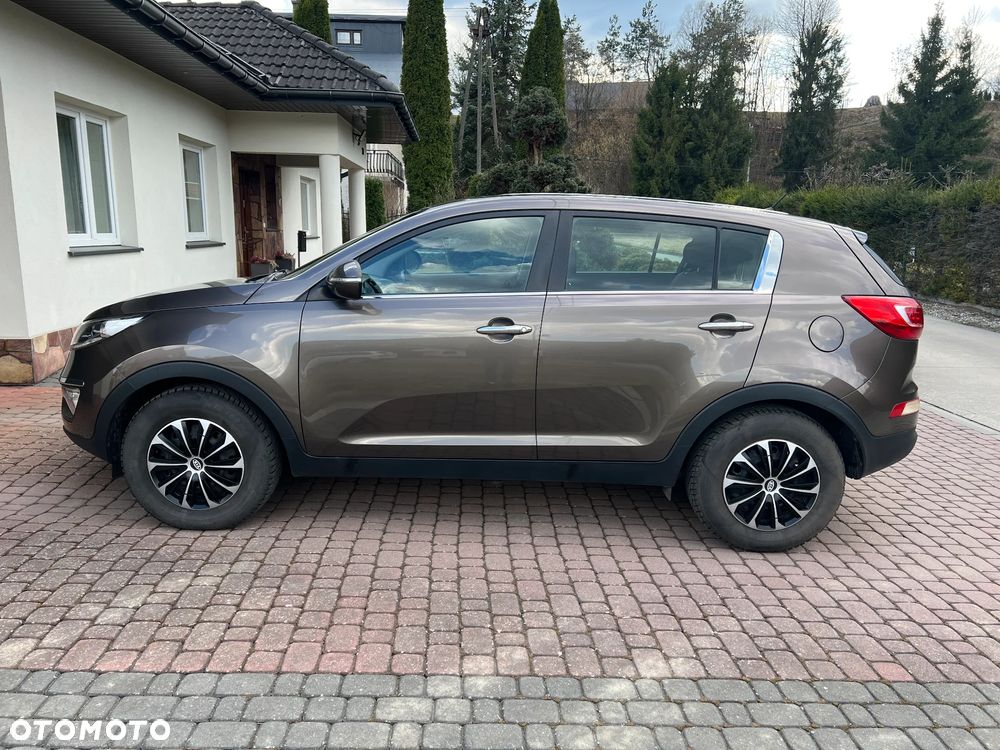 Kia Sportage - 3