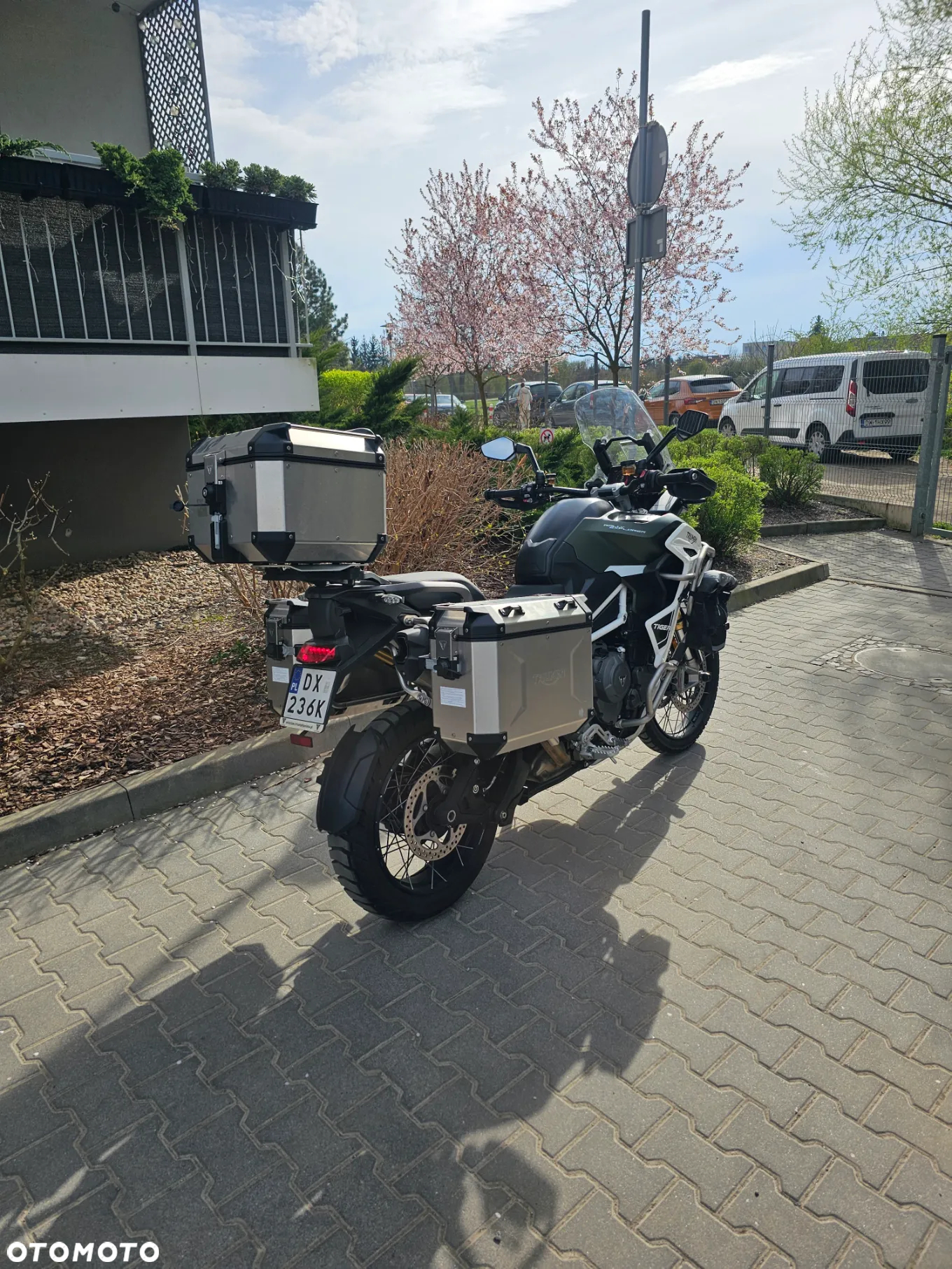 Triumph Tiger - 3