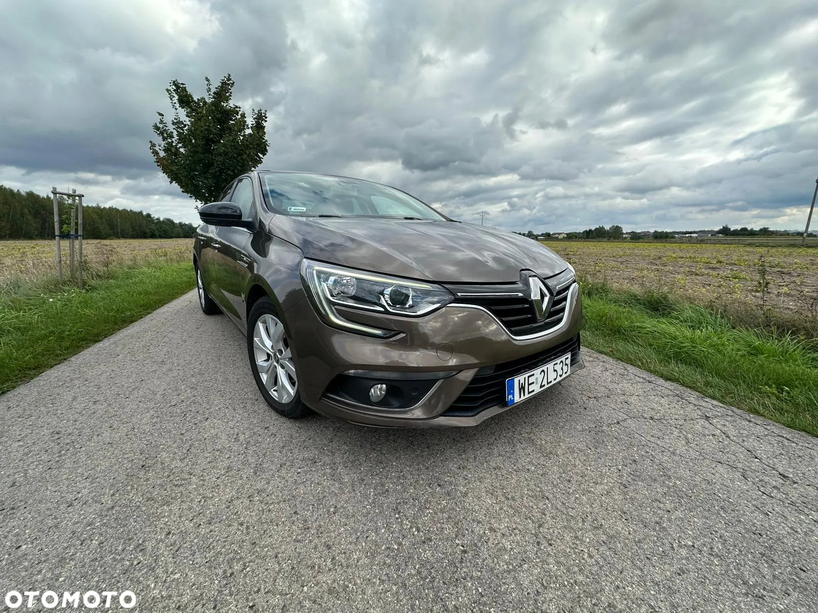 Renault Megane 1.5 Blue dCi Limited - 4