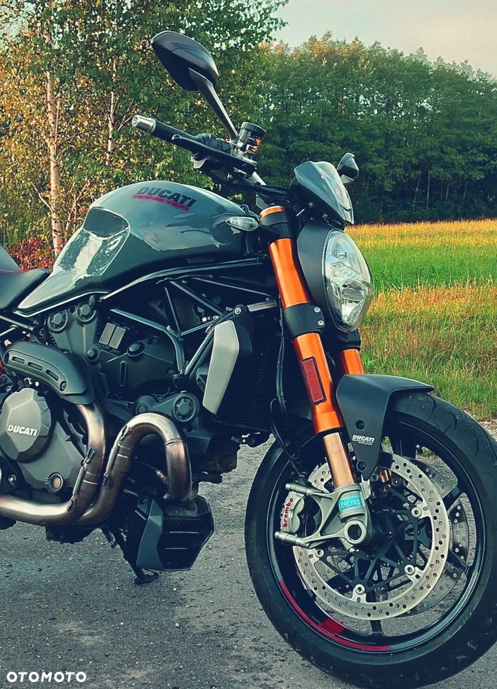 Ducati Monster - 1